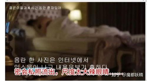 网红合集吃瓜视频下载免费,揭秘热门合集背后的秘密