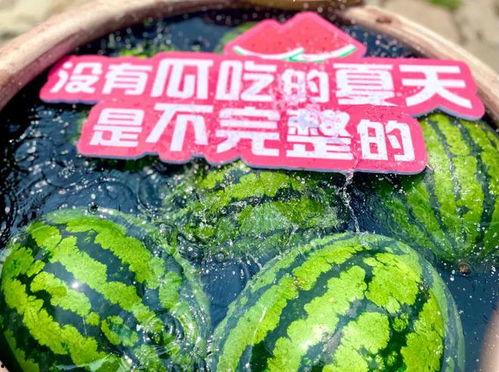 吃瓜网2024最新版,盘点娱乐圈最新热点，揭秘明星幕后故事