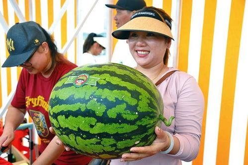 吃瓜网2024最新版,盘点娱乐圈最新热点，揭秘明星幕后故事