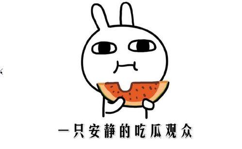 抖音吃瓜网红,揭秘娱乐圈幕后故事