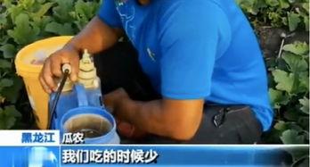 平邑吃瓜网,揭秘平邑美食与趣事