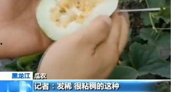 平邑吃瓜网,揭秘平邑美食与趣事