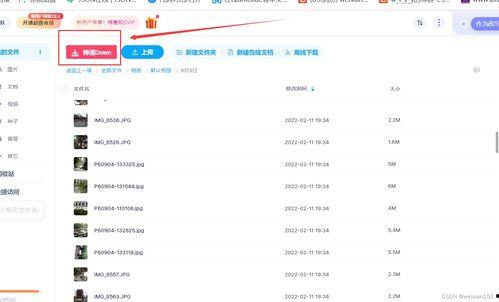 免费的吃瓜网盘资源下载,海量下载攻略一览无余