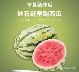 网红1元吃瓜,揭秘网络红人背后的秘密