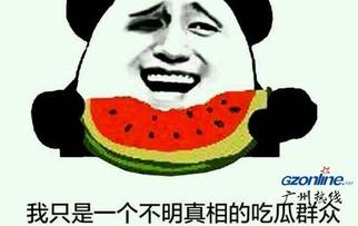 吃瓜网怎么看不了了,揭秘背后原因及影响