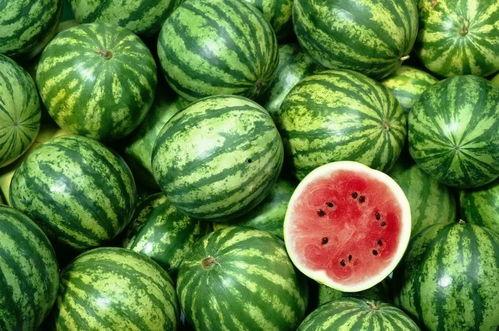 伦敦吃瓜网红是哪里人呀