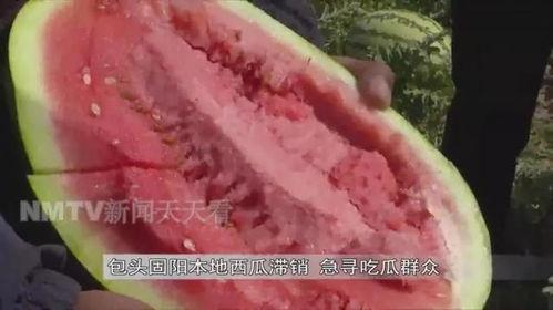 网红老王吃瓜,揭秘幕后真相！