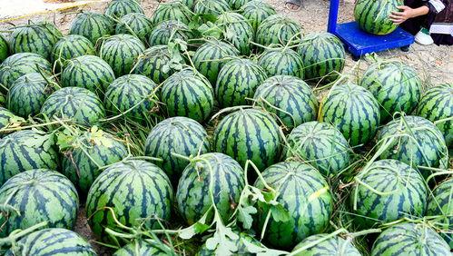 吃瓜网 是全球更新最快最全,全球资讯速递，最快最全的实时热点追踪