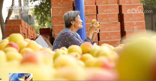 摆摊网红吃瓜视频下载,揭秘幕后下载攻略