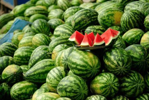 吃瓜日本网红,揭秘日本网红的吃瓜日常