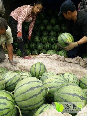 靖边网红吃瓜是谁啊最新消息