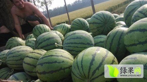 靖边网红吃瓜是谁啊最新消息