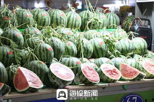 厅蔽51吃瓜官网,揭秘娱乐圈幕后故事，带你领略明星真实生活