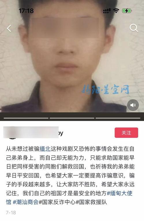 吃瓜网红被骗事件真相,一场精心策划的骗局