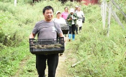 温县网红吃瓜事件始末,一场网络狂欢背后的真相与反思