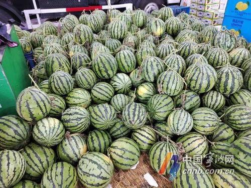 今日大瓜51吃瓜网