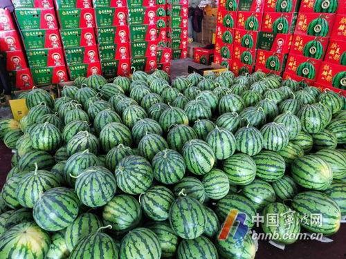 今日大瓜51吃瓜网