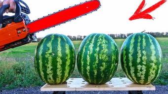 海外吃瓜网是哪个平台的,揭秘其背后的热门平台之谜