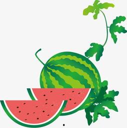 吃瓜网红故事背景图,揭秘网红背后的神秘故事