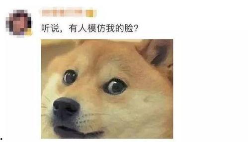 网红吃瓜事件狗头