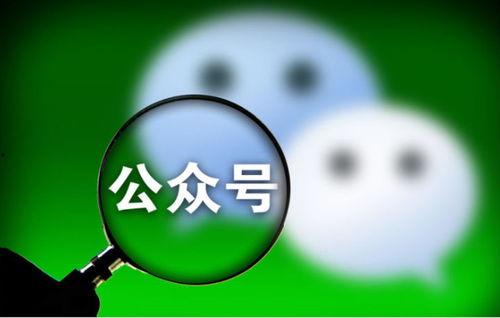 深圳网红吃瓜公众号,揭秘娱乐圈那些不为人知的幕后故事