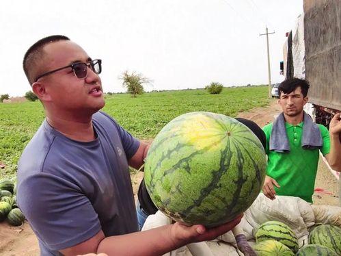 雄县吃瓜网,揭秘当地美食与趣闻的网上乐园