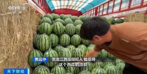 雄县吃瓜网,揭秘当地美食与趣闻的网上乐园