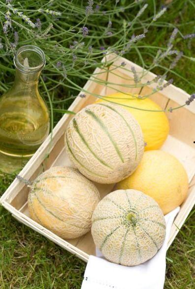 吃瓜专用网白色,带你走进神秘的网络世界