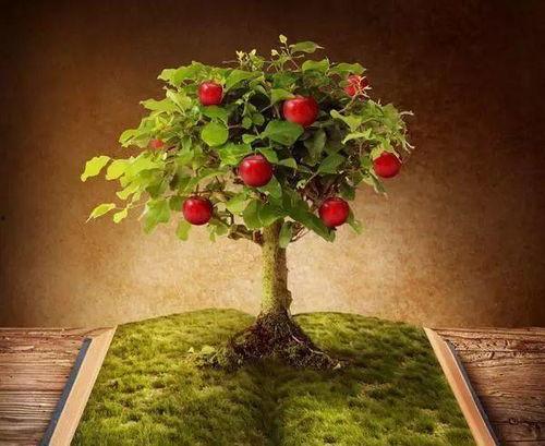 网红小鱼海棠吃瓜