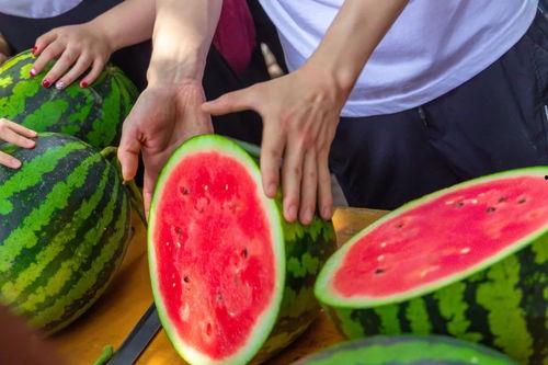 天津中医药大学网红吃瓜,揭秘天津中医药大学校园美食风云