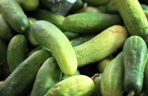 网红吃瓜每日大赛在哪看,每日大赛直播平台大揭秘！