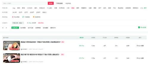 吃瓜网怎么搜索视频素材,轻松找到你想要的精彩片段