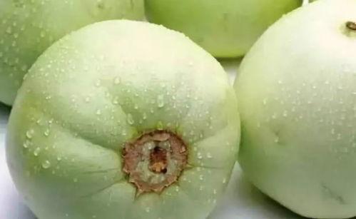 网红吃瓜猛料黄料有些谁,吃瓜猛料黄料背后的惊人真相