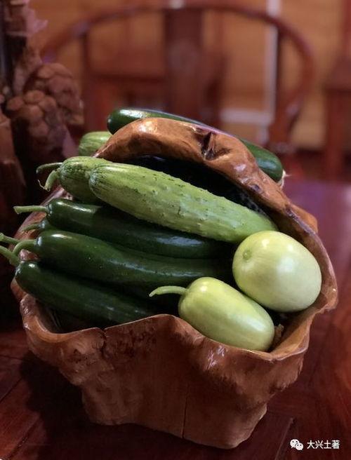 广西吃瓜网红是谁啊