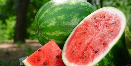 吃瓜爱放图片的网红,用图片讲述故事，带你领略视觉盛宴！”