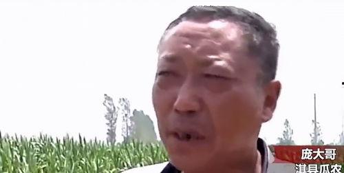 东北吃瓜网红事件,揭秘网络舆论的风暴与真相