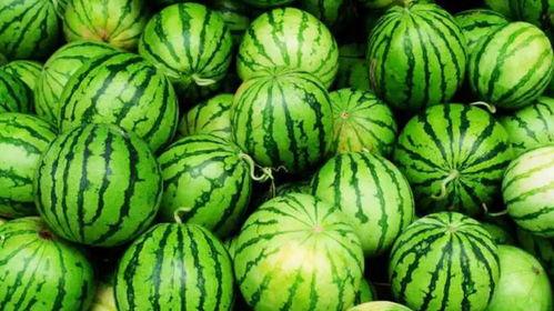 吃瓜网为什么这么火爆,揭秘网络热议背后的火爆之谜