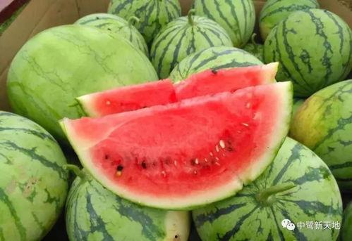 今日吃瓜911爆料官网入口,独家入口带你直击热点事件