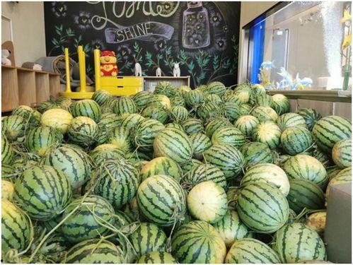 今日吃瓜911爆料官网入口,独家入口带你直击热点事件