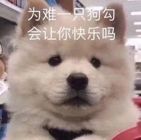 两个男网红吃瓜表情包,揭秘网络红人的“瓜”界风云