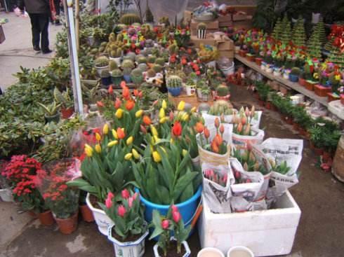 花店老板吃瓜网