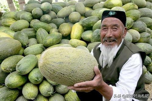 新疆网红直播回放吃瓜,一场别开生面的“吃瓜”盛宴