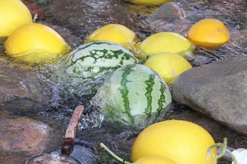 大城网红吃瓜,揭秘网络红人背后的故事