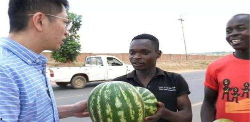 黑网吃瓜网,网络世界的暗流涌动