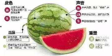 郫县网红吃瓜群微信