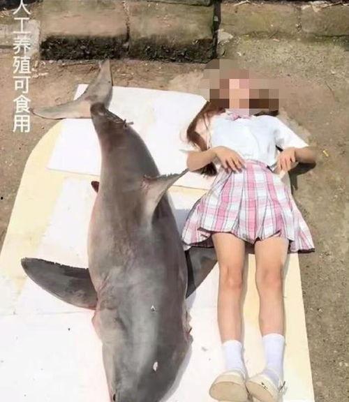 网红博主吃瓜鲨鱼视频  第3张