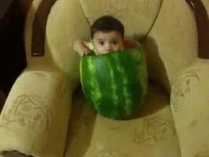 网红吃瓜姿势图片大全集