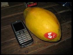 台湾网红吃瓜事件,揭秘网络舆论的风暴与真相  第2张