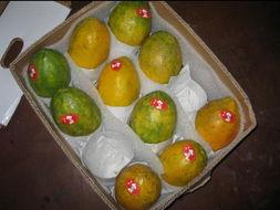 台湾网红吃瓜事件,揭秘网络舆论的风暴与真相  第3张