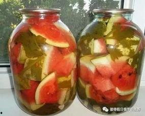 俄罗斯吃瓜官网,揭秘俄式娱乐文化盛宴